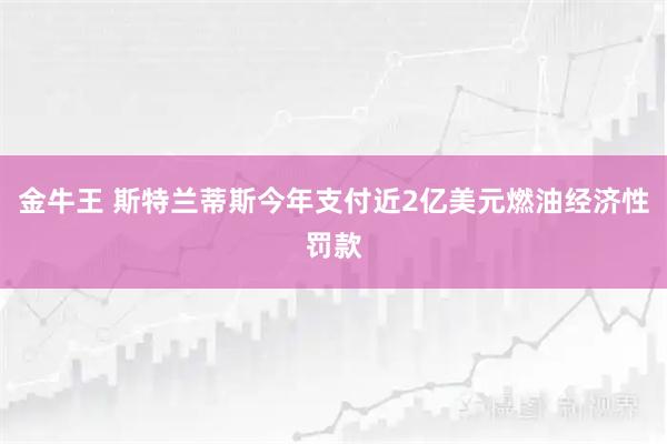 金牛王 斯特兰蒂斯今年支付近2亿美元燃油经济性罚款