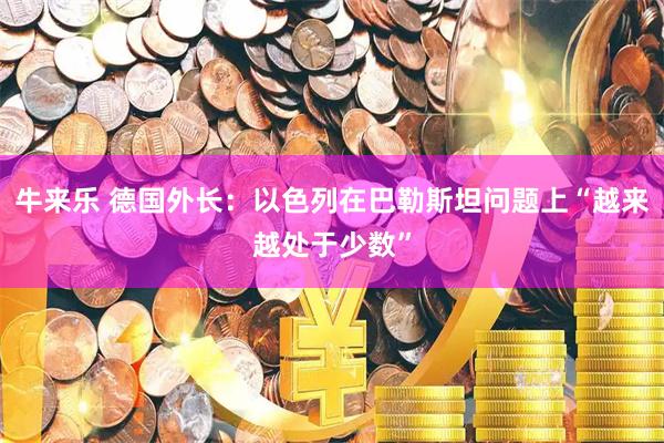 牛来乐 德国外长：以色列在巴勒斯坦问题上“越来越处于少数”