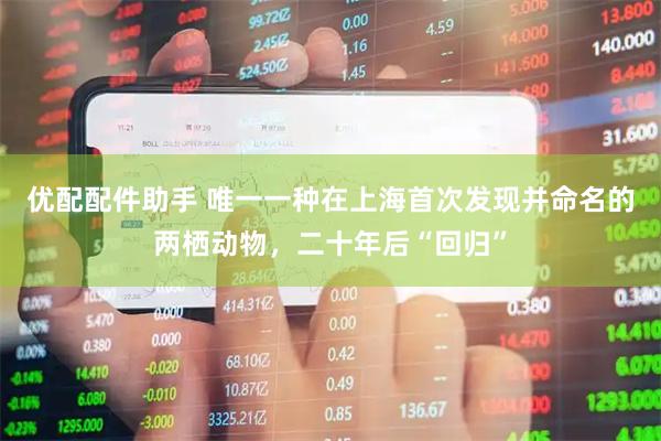 优配配件助手 唯一一种在上海首次发现并命名的两栖动物，二十年后“回归”