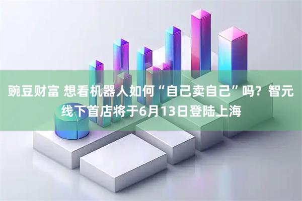 豌豆财富 想看机器人如何“自己卖自己”吗？智元线下首店将于6月13日登陆上海