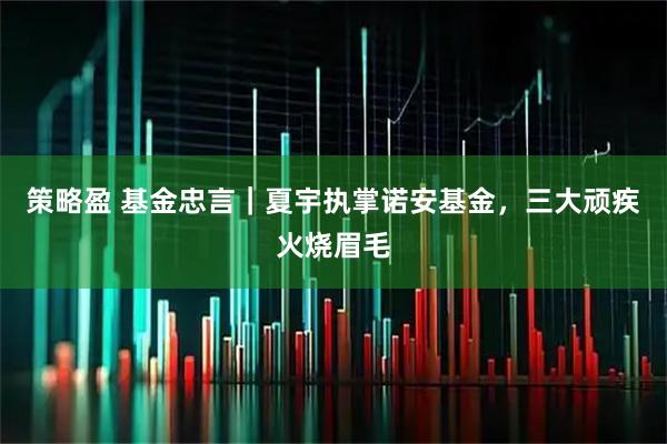 策略盈 基金忠言｜夏宇执掌诺安基金，三大顽疾火烧眉毛